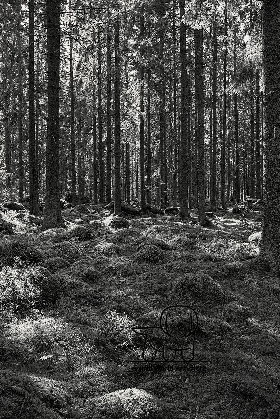 Black White Foggy Pine Tree Forest Mountains Posters Canvas Painting Wall Art Landscape Pictures for Room Home Decor