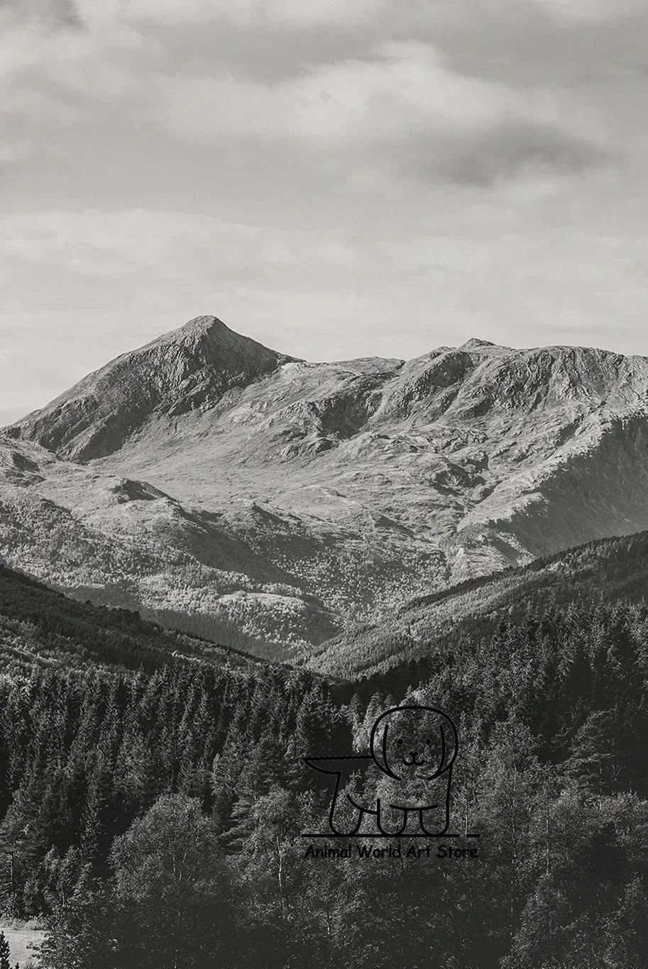 Black White Foggy Pine Tree Forest Mountains Posters Canvas Painting Wall Art Landscape Pictures for Room Home Decor