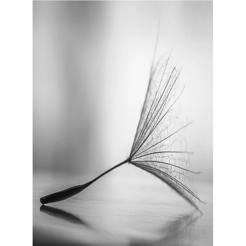 Black and White Wall Art Canvas Painting Dandelion Flower Pictures Poster and Prints Home Decorative Artworks for Kitchen Decor