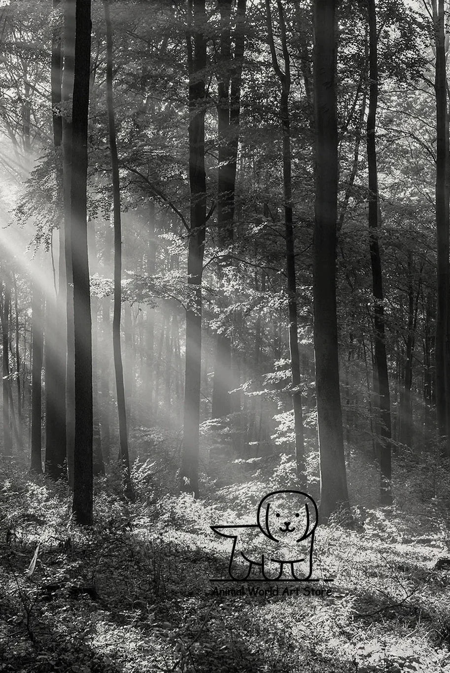 Black White Foggy Pine Tree Forest Mountains Posters Canvas Painting Wall Art Landscape Pictures for Room Home Decor