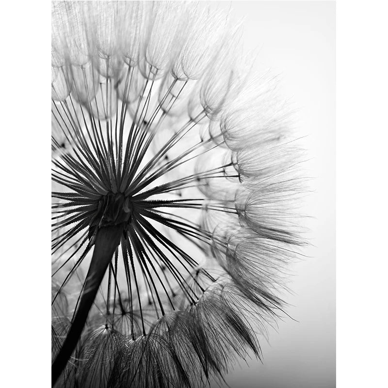 Black and White Wall Art Canvas Painting Dandelion Flower Pictures Poster and Prints Home Decorative Artworks for Kitchen Decor